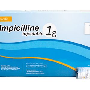 AMPICILLINE UBI 1G 50 POUDRE SOLUTION INJECTABLE