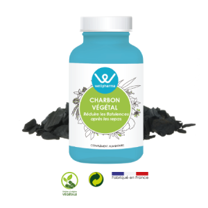 CHARBON VEGETAL ACTIVE