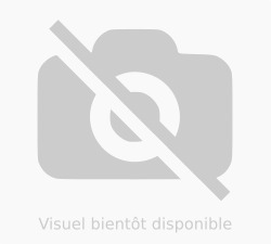 AMITRON 500 MG BOÎTE DE 12 GÉLULES