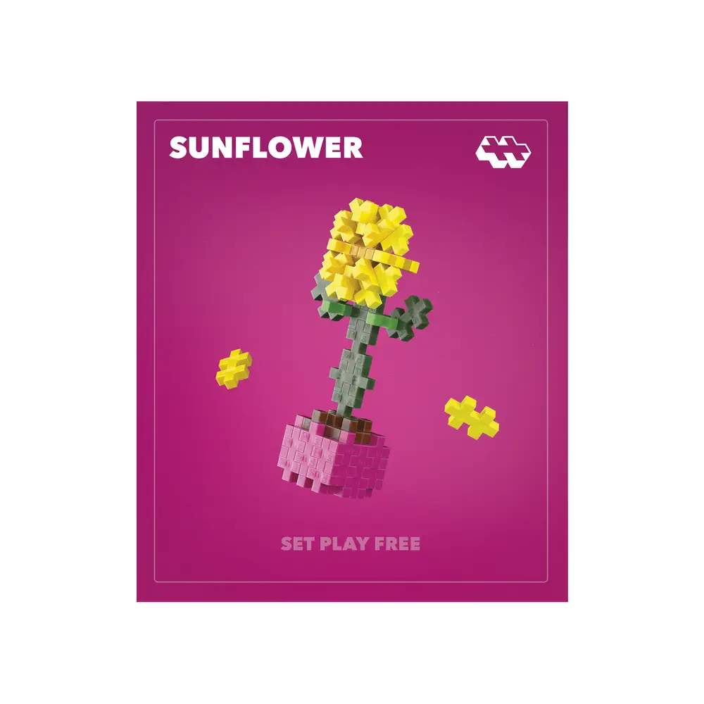 Pop Plantes – Tournesol – Image 5