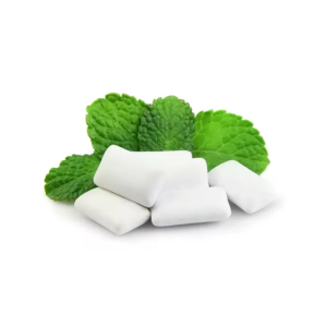 CHEWING GUM MENTHE