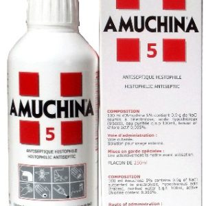 AMUCHINA 5 250 ML LIQUIDE ANTISEPTIQUE